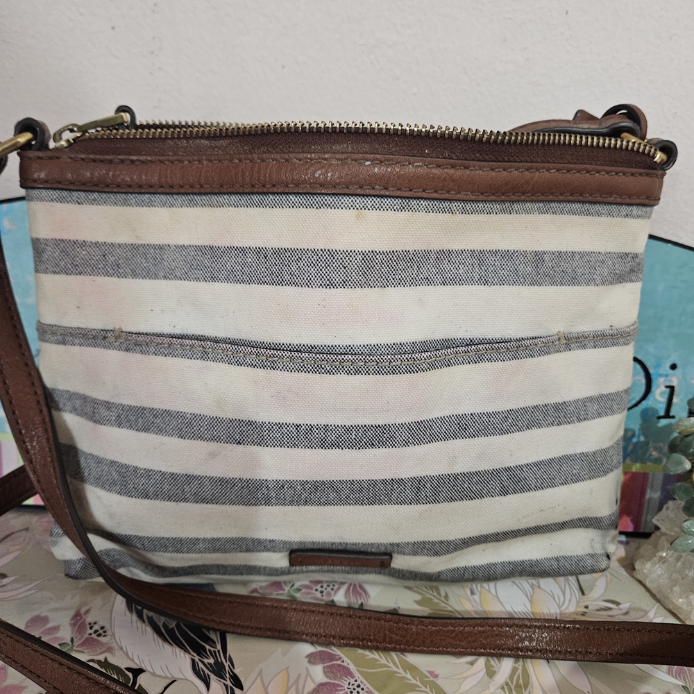 Fossil Canvas Crossbody Bag
